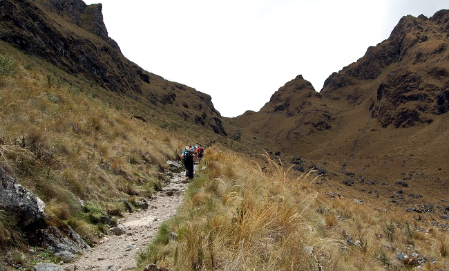 Up, up, up to Dead Woman's Pass Up, up, up to Dead Woman's Pass on day two of the Inca Trail