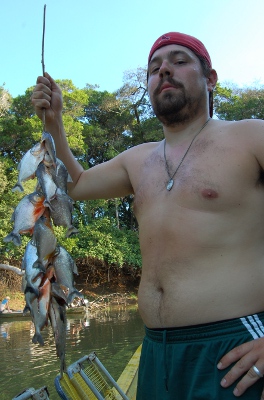 Piranha's caught in the Bolivian pampas