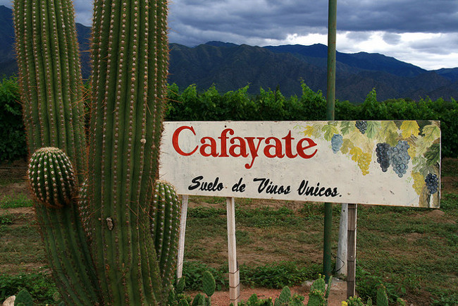 Cafayate, Argentina