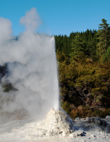 Lady Knox Geyser, New Zealand Lady Knox Geyser, New Zealand