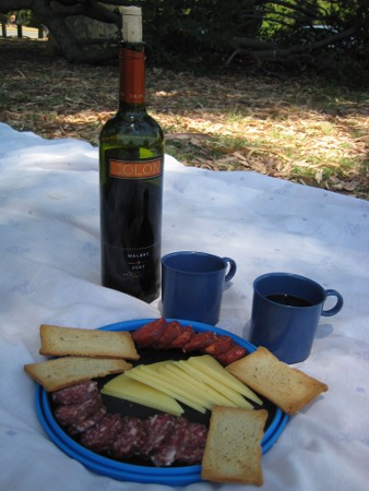 Picnic in Argentina