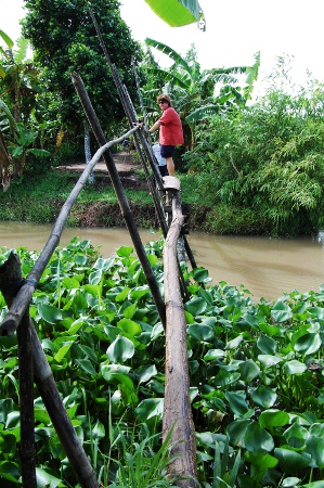 Shady Bridges in Vietnam