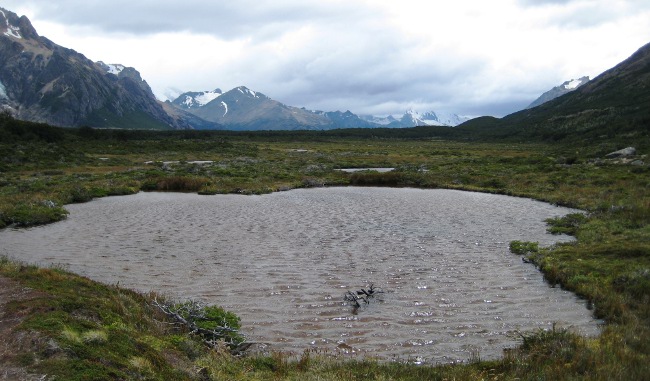 On the Trail to Lago Piedras Blancas, El Chalten, Patagonia, Argentina