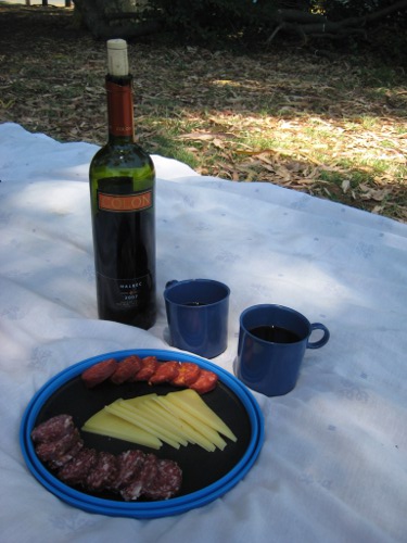 Picnics