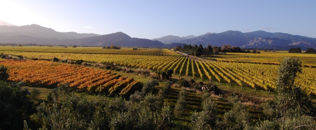 Seresin Winery in New Zealand Seresin Winery in New Zealand