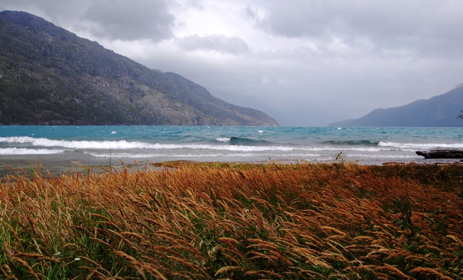 Lago Puelo Grass