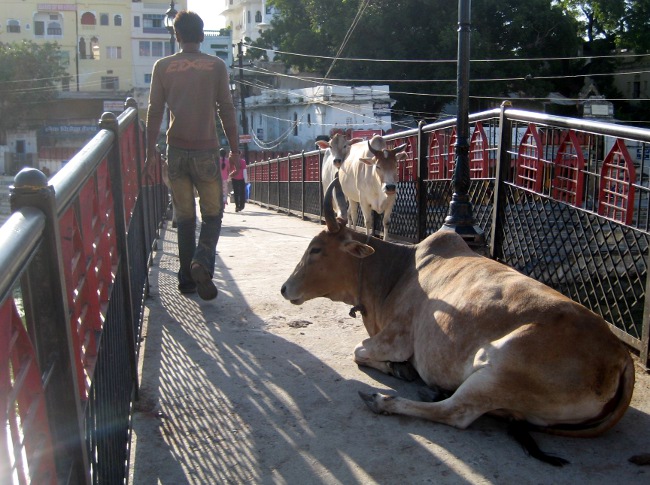 Udaipur, India