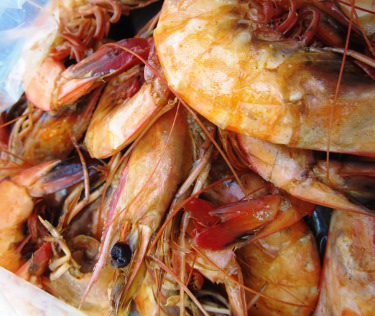 Shrimp from Cajun Seafood in New Orleans
