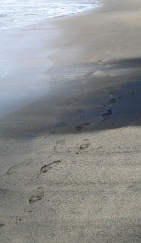 Black sand in Tayrona National Park in Colombia Black sand in Tayrona National Park in Colombia