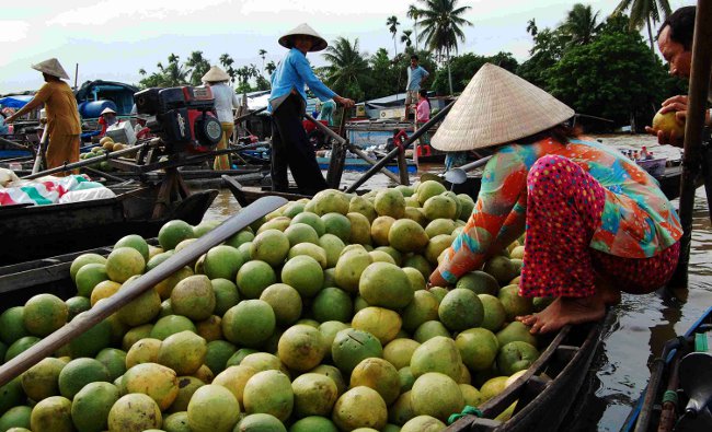 Pomelo Vendor in the Cai Rang Floating Market Mekong River, Vietnam
