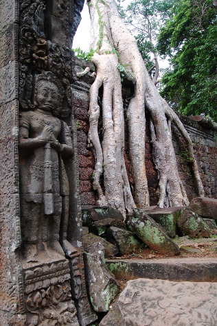 Preah Khan at Angkor Wat, Cambodia